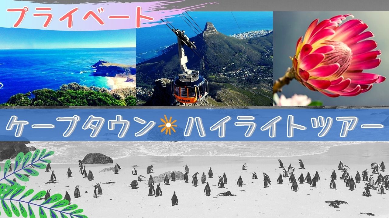 【プライベート】ケープ半島&テーブルマウンテンor世界遺産・カーステンボッシュ植物園終日観光(英語ガイド)