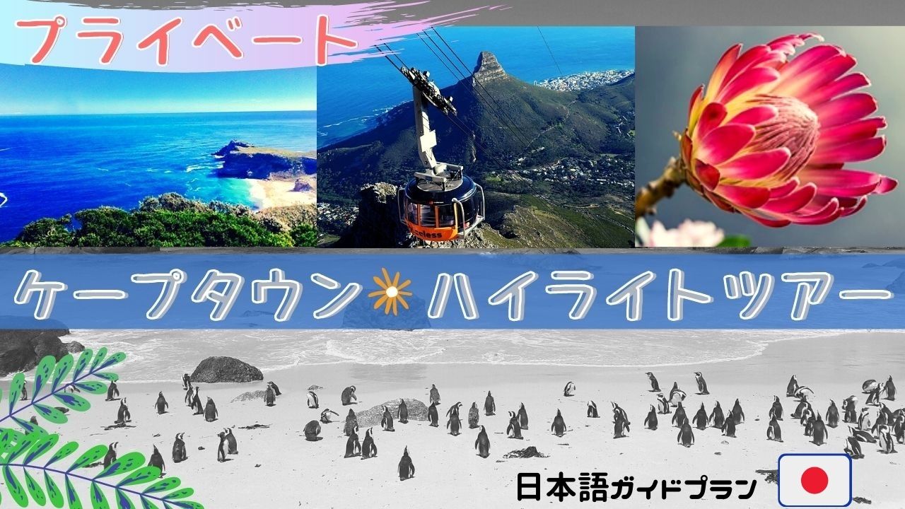 【プライベート/日本語ガイド】プライベート・ケープ半島&テーブルマウンテンor世界遺産・カーステンボッシュ植物園終日観光