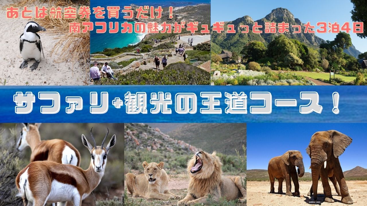 航空券を買うだけ！！喜望峰＆サファリ・ケープタウン３泊４日