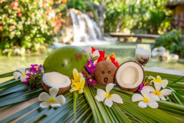 早割キャンペーン【フィッシュアイ】海中展望塔見学&ココナッツ体験＜ランチ付きプランあり＞【送迎付き or 送迎なし】