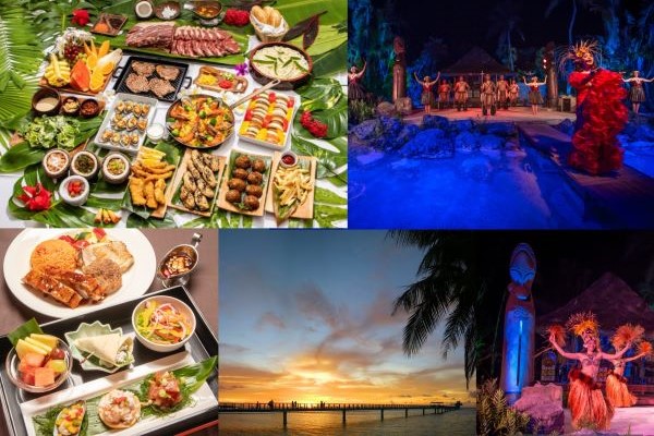 早割キャンペーン【フィッシュアイ】アイランドカルチャーディナーショー(海中展望塔見学付き) 【送迎付き or 送迎なし】