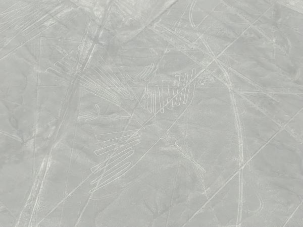 セスナ遊覧飛行「世界遺産ナスカの地上絵」&砂漠のオアシス「ワカチナ湖」1日観光ツアー＜日本語ガイド＞<br />*ピスコ空港利用