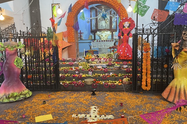 【11月2日限定】『死者の日』特別企画・満足の3か所周遊/聖地ミスキック巡礼＆シウダデラ市場＆ソチミルコ運河トラヒネラ体験