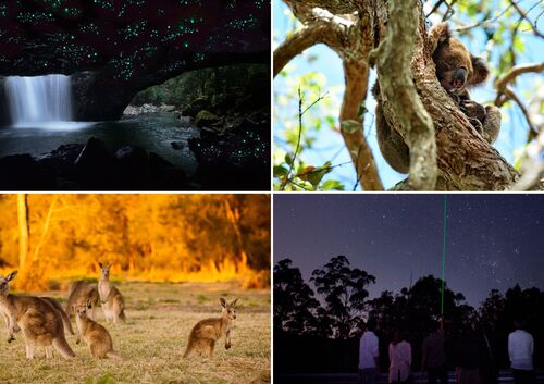 エコサファリツアー【日本語ツアー】