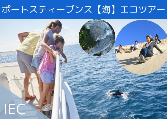 IECポートスティーブンス【海】エコツアー